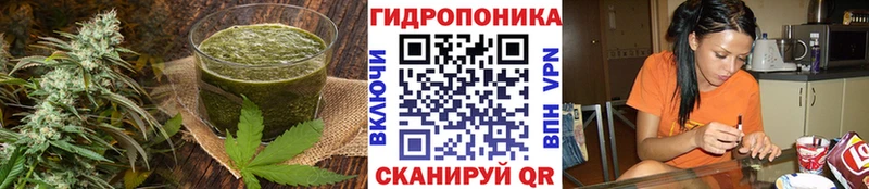 Canna-Cookies марихуана  ОМГ ОМГ зеркало  Лысково 